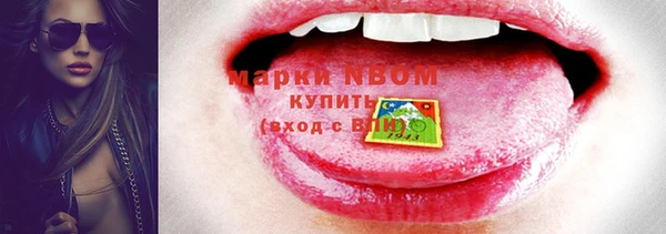 ПСИЛОЦИБИНОВЫЕ ГРИБЫ Гусь-Хрустальный