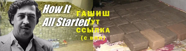 ПСИЛОЦИБИНОВЫЕ ГРИБЫ Гусь-Хрустальный