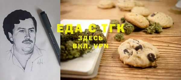 дмт Гусев