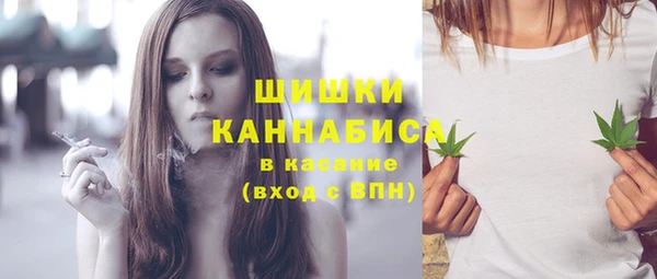 ПСИЛОЦИБИНОВЫЕ ГРИБЫ Гусь-Хрустальный