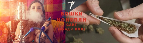 дмт Гусев