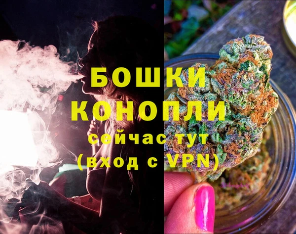 ПСИЛОЦИБИНОВЫЕ ГРИБЫ Гусь-Хрустальный