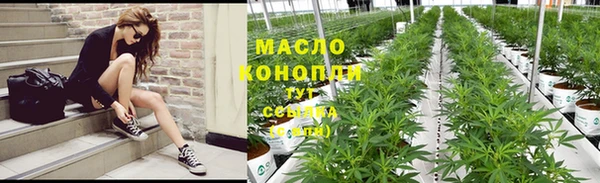 ПСИЛОЦИБИНОВЫЕ ГРИБЫ Гусь-Хрустальный