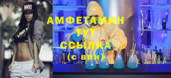 ПСИЛОЦИБИНОВЫЕ ГРИБЫ Гусь-Хрустальный