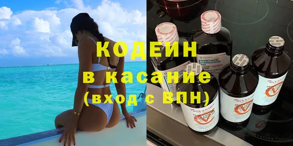 дмт Гусев