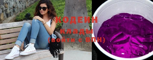 ПСИЛОЦИБИНОВЫЕ ГРИБЫ Гусь-Хрустальный