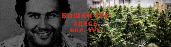 дмт Гусев