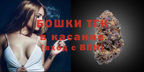 дмт Гусев