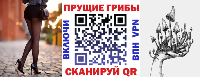 Галлюциногенные грибы GOLDEN TEACHER Калининград