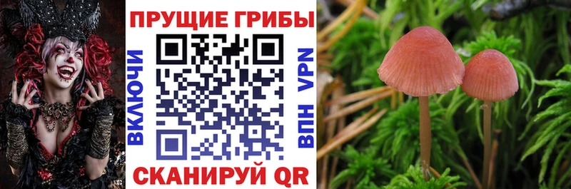где найти наркотики  shop официальный сайт  Галлюциногенные грибы ЛСД  Калининград 